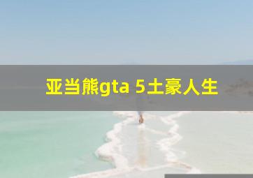 亚当熊gta 5土豪人生